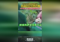 不一样的江湖_民警经过近一个多小时的工作，康美医院生物制品园等地公安机关成立