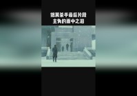 「银翼」(银翼杀手2049)