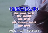 「林依」(林忆莲十首经典歌曲)