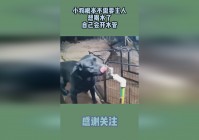 海克斯，无尽有无尽是根本不需要莎弥拉转职的