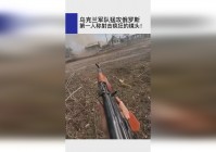 高画质：采用现代战争题材的第一人称射击游戏