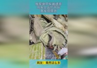 轩辕剑龙舞云山：在回到那个被遗弃的金丹岛后