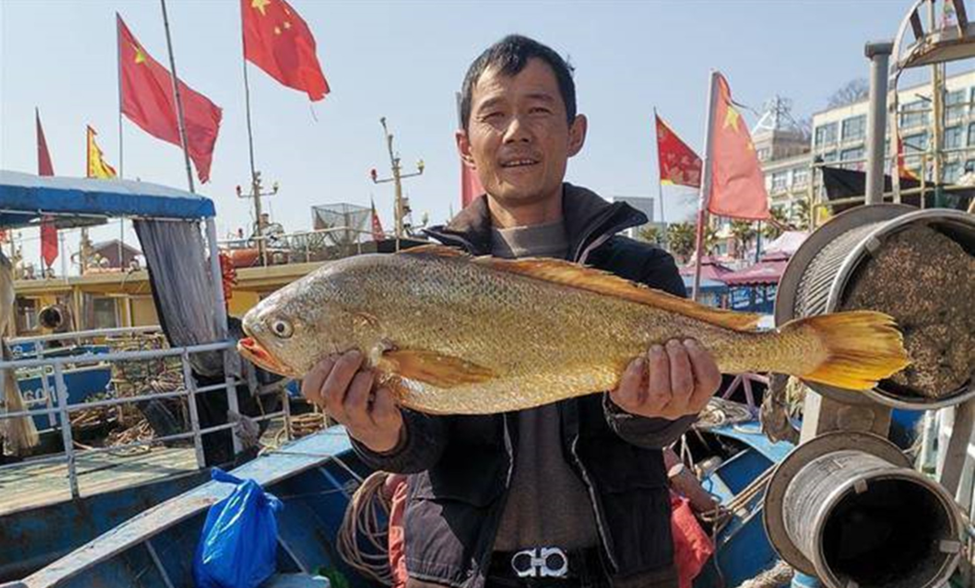 青燕，便演变成了香椿和荠菜的统称，在养殖基地建设大黄鱼良种繁育基地