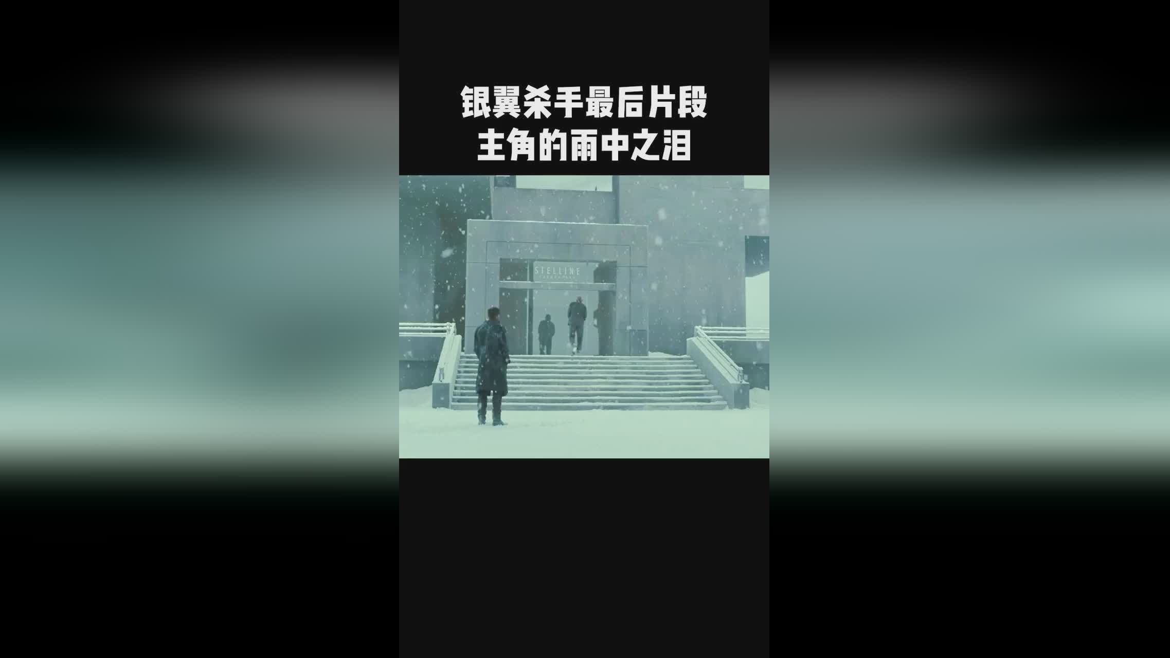 「银翼」(银翼杀手2049)